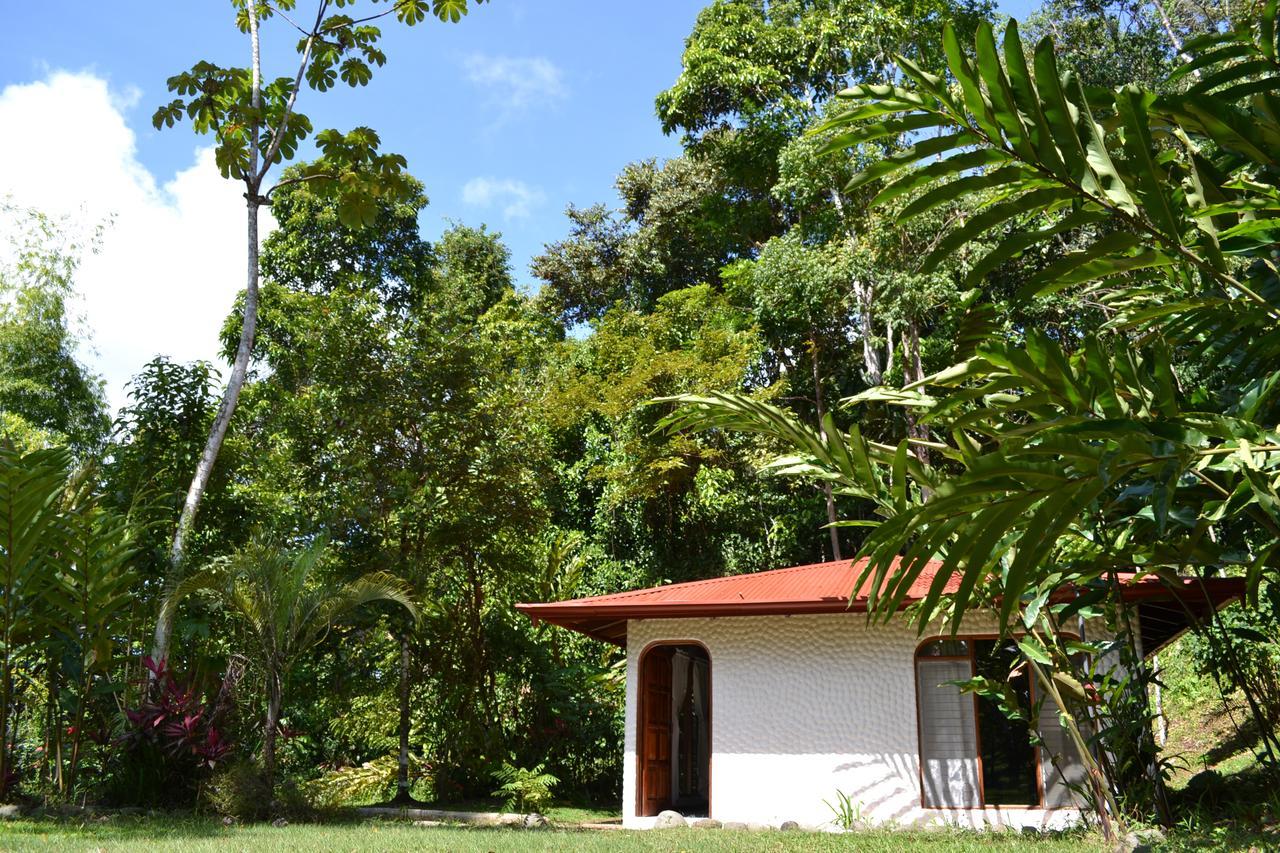 Natuga Ecolodge-Villas Dominical Baru Oda fotoğraf
