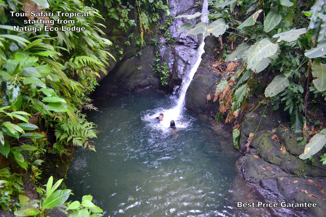 Natuga Ecolodge-Villas Dominical Baru Dış mekan fotoğraf